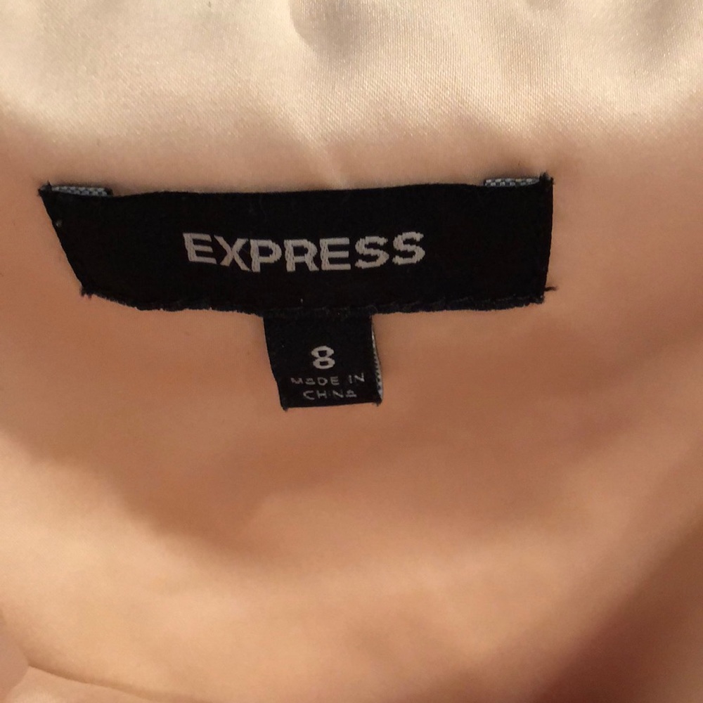 Express Dress - Picture 3 of 3